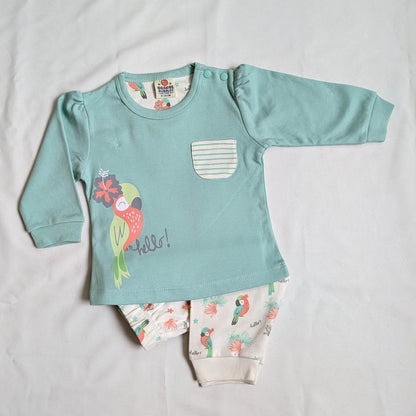 Parrot Print Mint Top & Tropical Pants Set