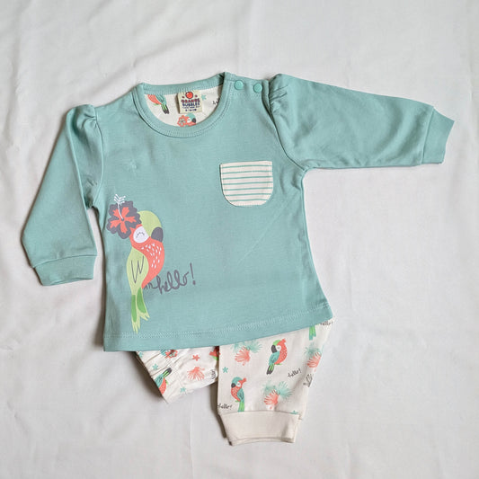 Parrot Print Mint Top & Tropical Pants Set
