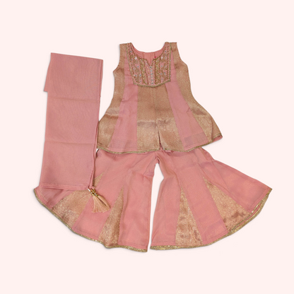 Dusty Rose & Gold Mirror-Work Sharara Set